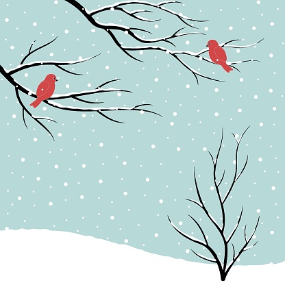 Winter scene of bare trees and birds on snowfall background.. Christmas vector illustration