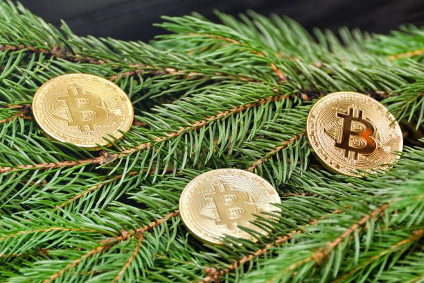 istock Coins Bitcoin on a spruce branch. Close-up. Business concept 894333730