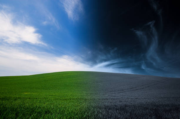 istock green grass and blue sky night and day background 894334454