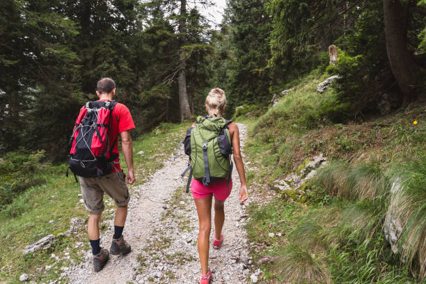 istock Two friends walking through mountain forest, Julian Alps 894334874