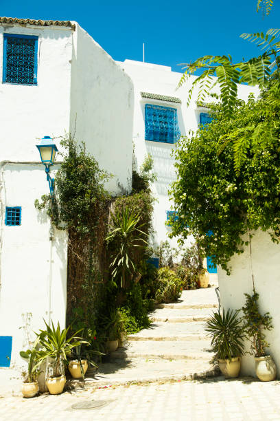 istock Street of the Sidi bou Said 894334884