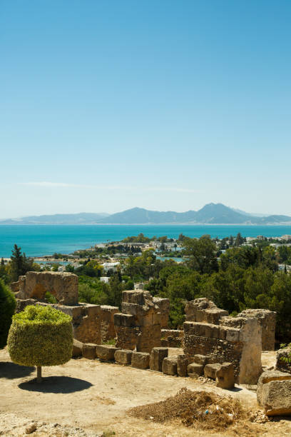 istock Ruins of Carthage 894337390