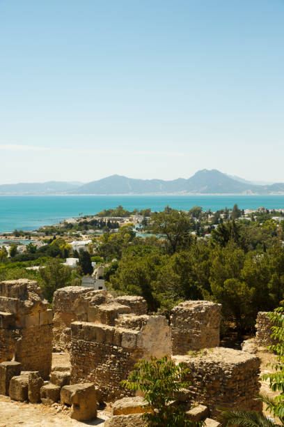 istock Ruins of Carthage 894337466