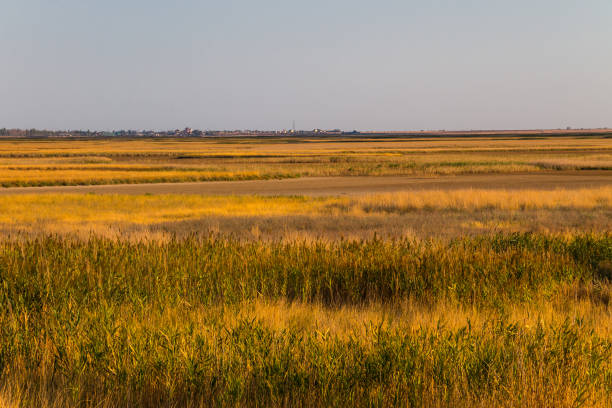 View on the Sivash lake in Ukraine