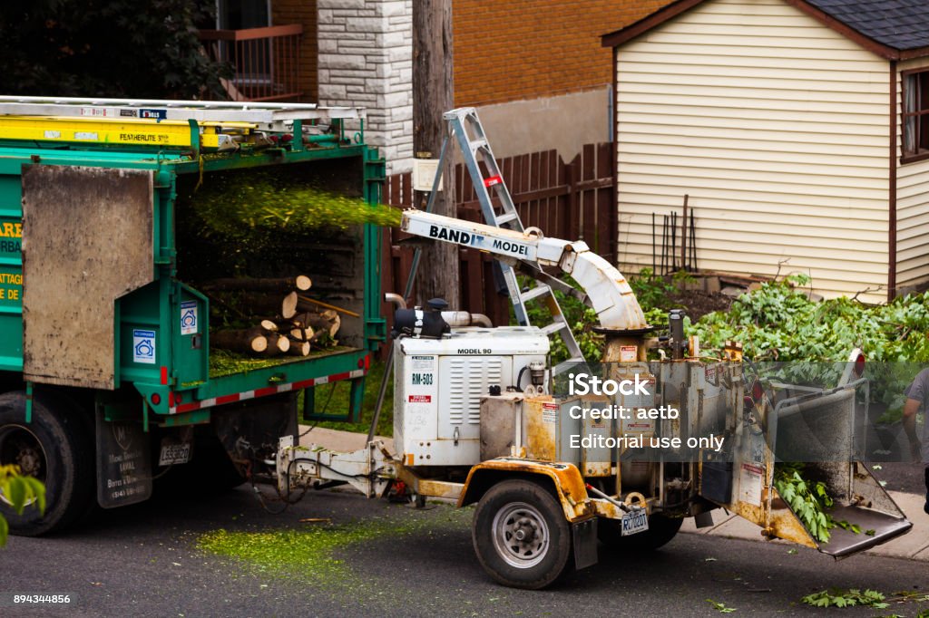 Foto de Árvore Máquina Shredder Em Ação E Trabalhadores Empurrando Galhos  Nele e mais fotos de stock de Retalhadora de Papel - iStock
