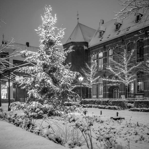рождество в nieuwe markt в зволье со снегом, огнями и елкой в черно-белом цвете - 0 3 months стоковые фото и изображения