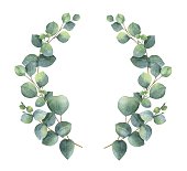 istock Watercolor vector wreath with silver dollar eucalyptus leaves and branches. 894345318