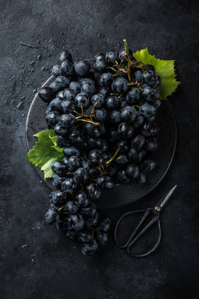 istock ripe black grapes on dark concrete background 894372412