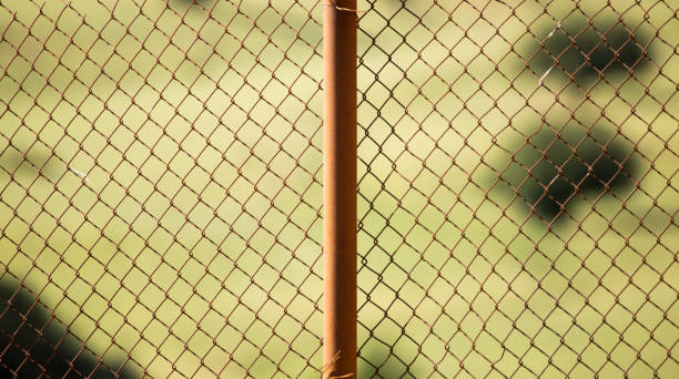 istock metal mesh on the fence as a background 894372828