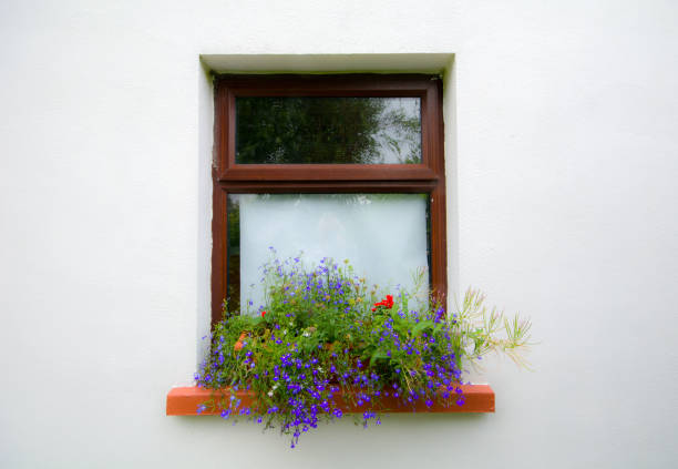 Flower pot with red flowers on a window sill in a wall in sunlight