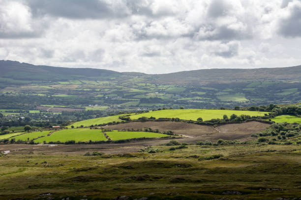 istock Sheep's Head Peninsular, Wild Atlantic Way' Ireland 894372944