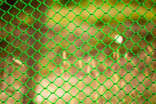 istock Green grid on the fence as a background 894373128