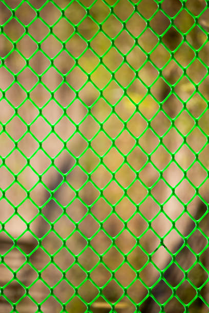 istock Green grid on the fence as a background 894375004