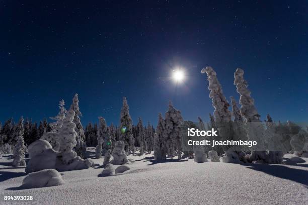 Ai thích chụp ảnh phong cảnh tuyệt đẹp và thiên nhiên ban đêm sẽ yêu ngay bức ảnh về Scandinavia. Bạn sẽ đắm mình trong không gian u tối nhưng lại ấm áp và đầy sức sống của đất nước này.