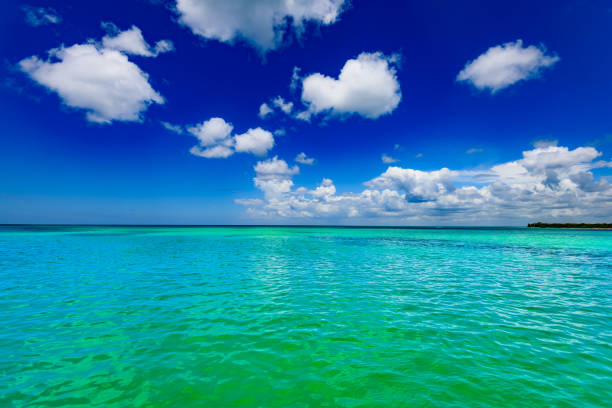 istock Caribbean sea Dominican Republic turquoise 894393452