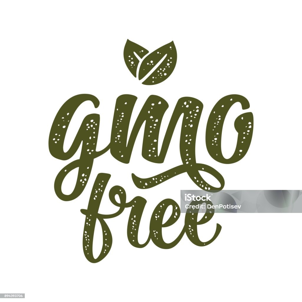 Gluten free lettering with leaf. Vector dark green vintage illustration GMO free lettering with leaf. Vector dark green vintage illustration isolated on white background. Agriculture stock vector