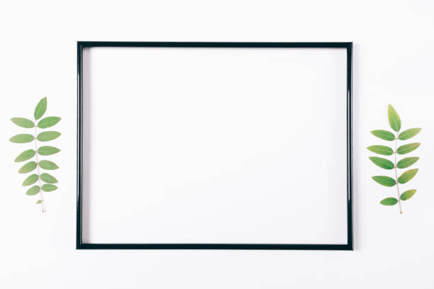 istock Black frame on a white background and plant twigs 894400102