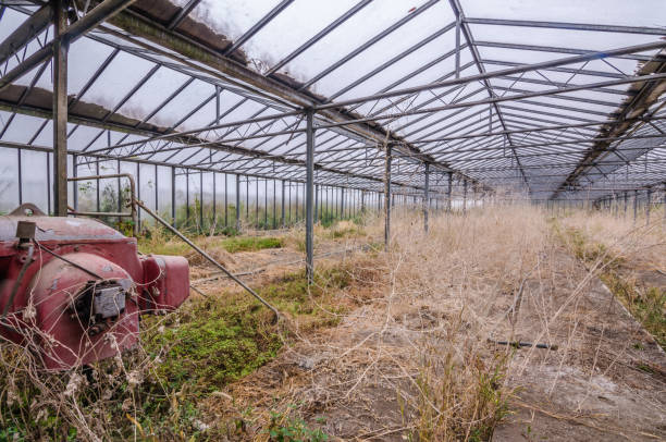 istock pump in old greenhouse 894409830