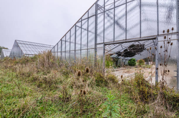 istock greenhouse exterior view 894409850