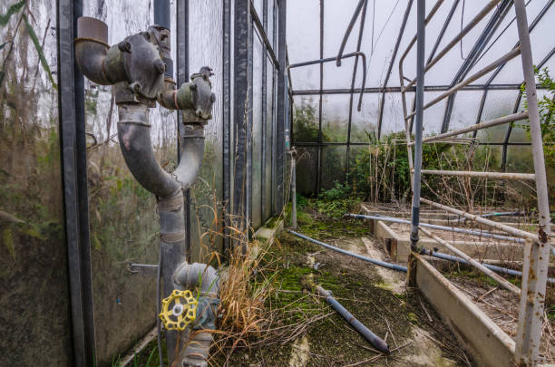 greenhouse with water connection