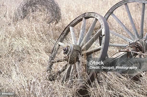 歳の車輪ばら線フィールドの干し草 - ひびが入ったのストックフォトや画像を多数ご用意 - ひびが入った, カラー画像, シンプル