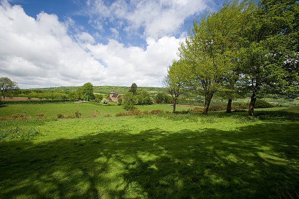 istock Surrey Countryside at Wotton 89441076