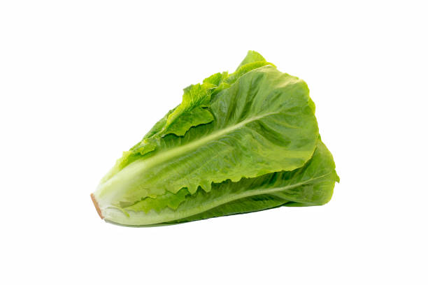 istock Green salad cut out on white background. 894413504