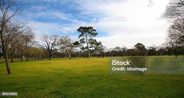 Foto de Green Park e mais fotos de stock de Alto - Descrição Geral - Alto - Descrição Geral, Beleza, Caindo