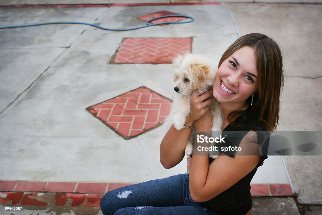 Nouveau chiot - Photo de 16-17 ans libre de droits