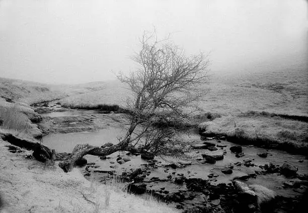 Photo of Infrared film, landscape