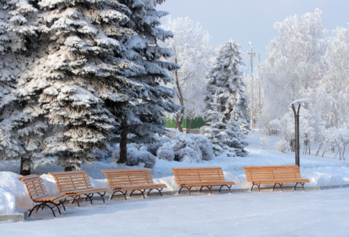 benchs in snow winter park