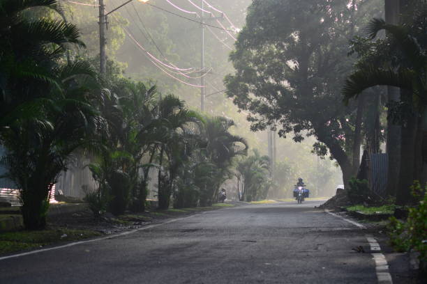 istock Morning street 6 894436014