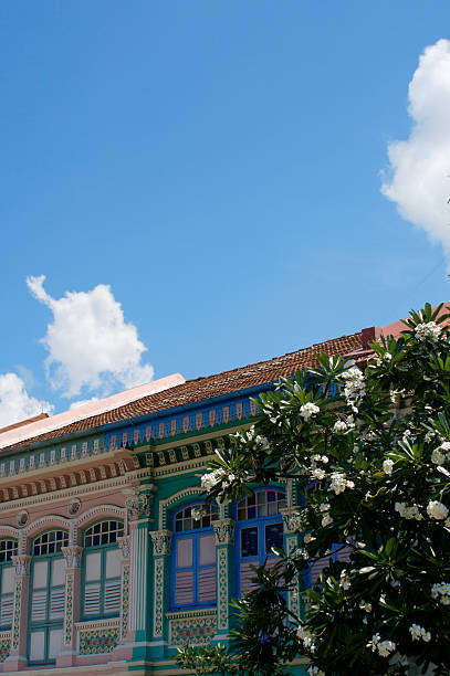 istock Shop House in Singapore 89443653