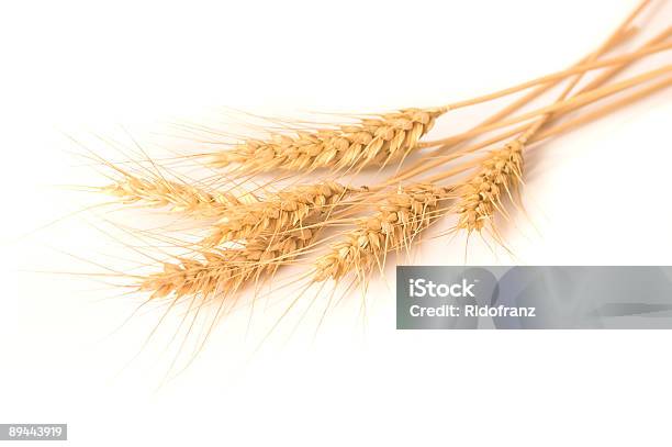 Isolato Mucchio Di Grano - Fotografie stock e altre immagini di Agricoltura - Agricoltura, Alimentazione sana, Biologia