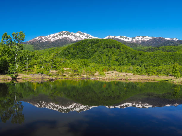 istock Snow mountains reflected in the pond 894439688