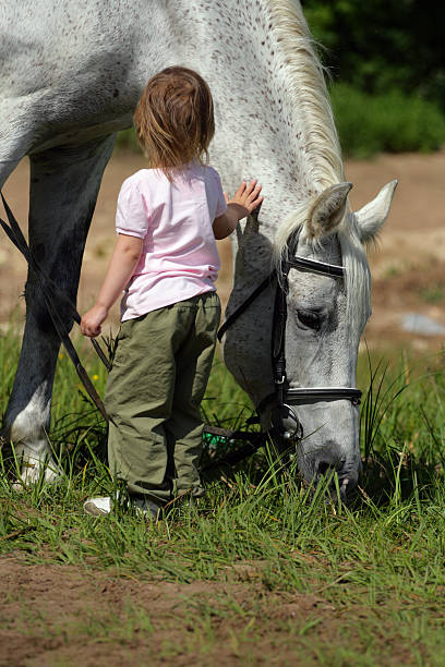 istock Small girl and big horse 89444050