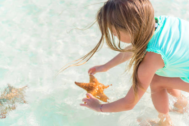istock Adorable little girl with starfish on white empty beach 894441826