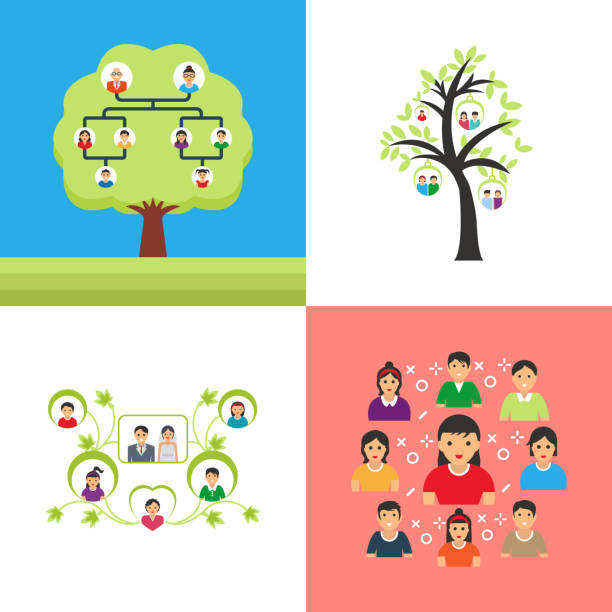 A Pack of Family Tree Vector Illustration Subsequent images are a set of family tree vector illustration. Such inventive, good-looking and dynamic set of graphic manifests family vector illustration. family tree chart stock illustrations