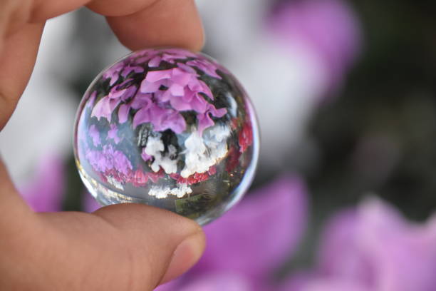 istock Flowers through a crystal ball 894443844