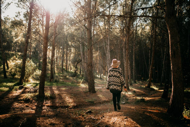 istock Woman in her back taking a walk in the middle of a pine tree forest 894447096