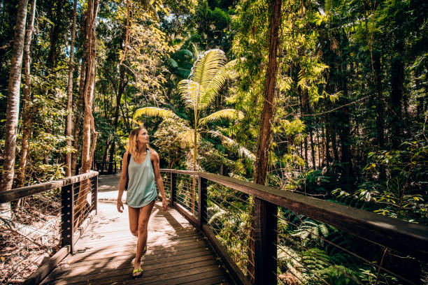 Adventuring Fraser Island Young woman walking through the woodland area on Fraser Island, Australia. queensland stock pictures, royalty-free photos & images