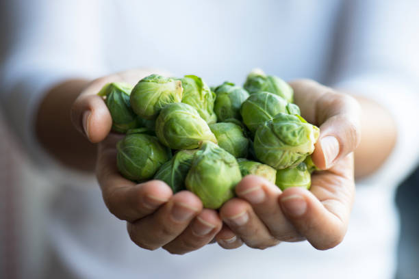 Handful of brussell sprouts stock photo