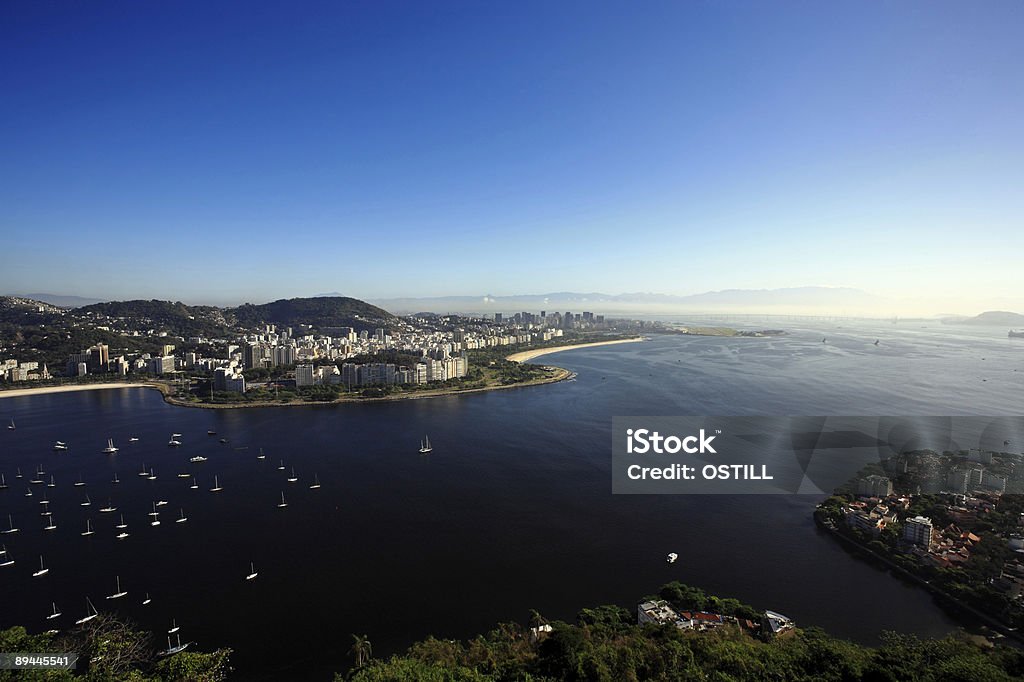 flamengo - Foto de stock de Flamenco - Ave de agua dulce libre de derechos