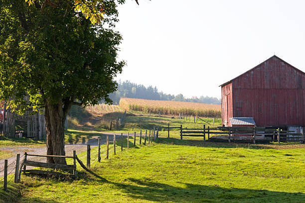 istock Autumn Morning with Red Barn - Back Lighting 89445631