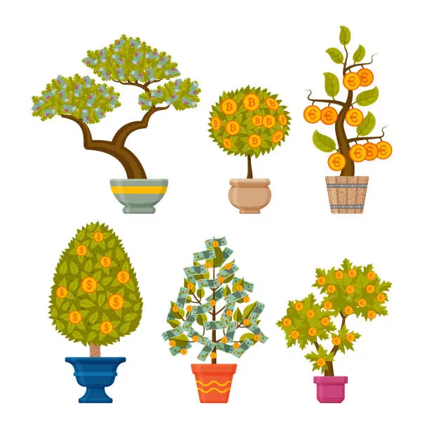 Vector illustration of Money tree set. Decorative plants in flower pots