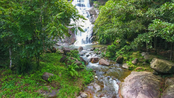 istock Aerial shot tropical forest and  Waterfall  south Thailand 894464332
