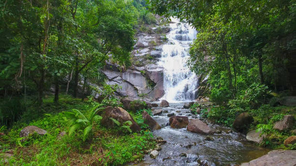 istock Aerial shot tropical forest and  Waterfall  south Thailand 894464372
