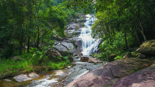 istock Aerial shot tropical forest and  Waterfall  south Thailand 894464638