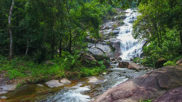 istock Aerial shot tropical forest and  Waterfall  south Thailand 894464728