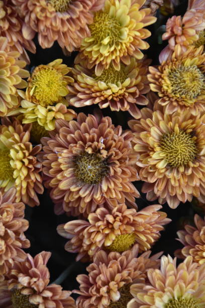 istock bouquet of flowers close-up 894471442